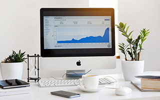 开云网页版登录入口-爱尔兰政府加大对女子橄榄球投资力度，橄榄球爱尔兰和北爱尔兰