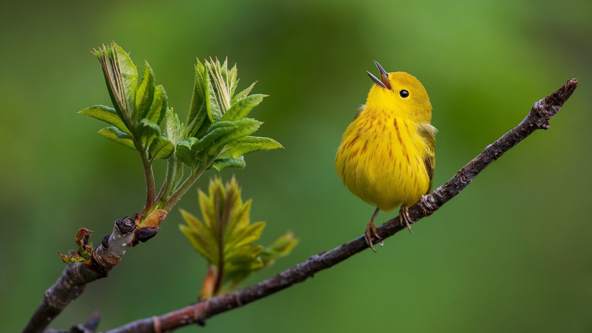 以“篮球+教育”为核心的特色项目在全国推广，篮球育人的教育理念