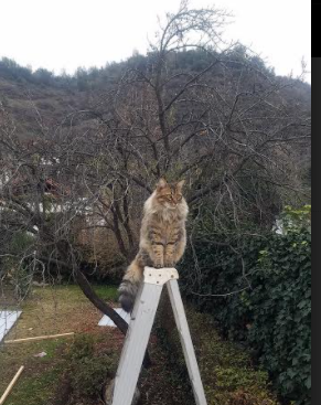 kaiyun体育综合-富有创意的比赛规则，激发选手创新，创意比赛形式