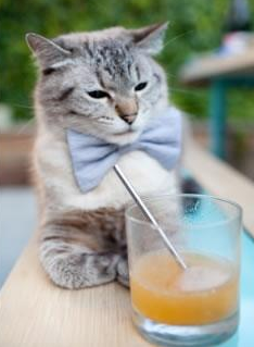 意甲新星频频崭露头角，精彩表现令人期待，意甲新球衣2021